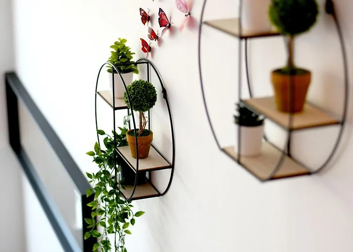 Cosy Les Capucins Breszt